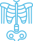 skeletal abnormalities skeletal abnormalities