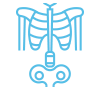skeletal changes skeletal changes