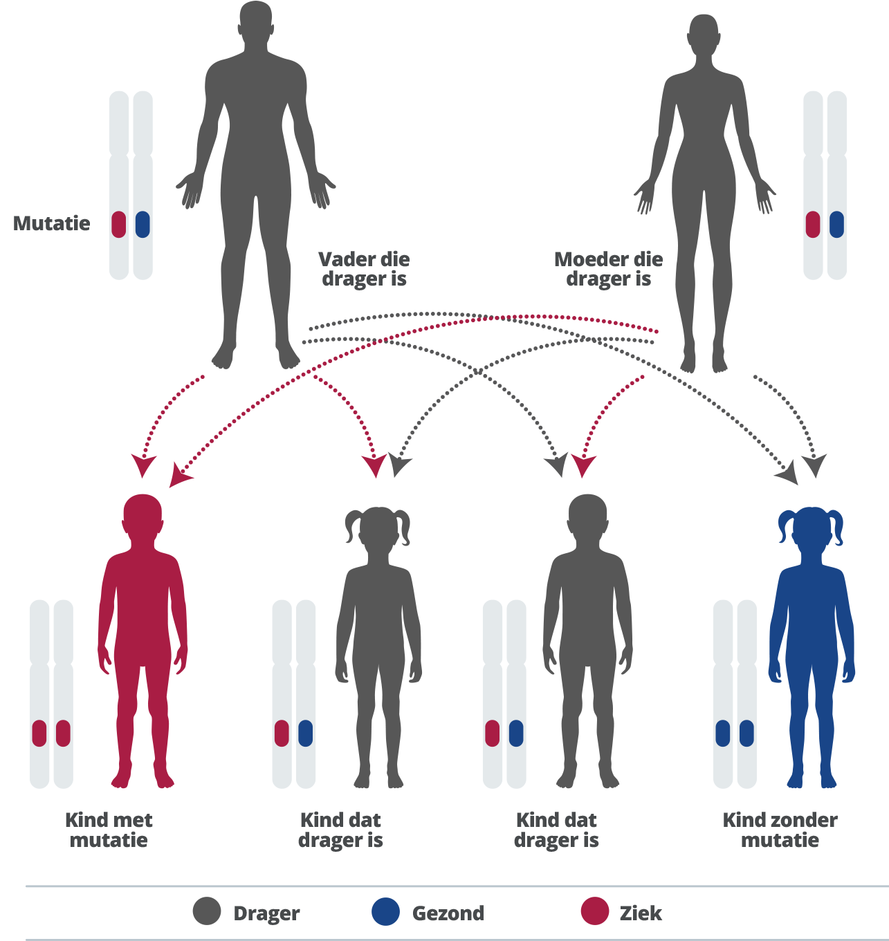 nl-diagnostic-test